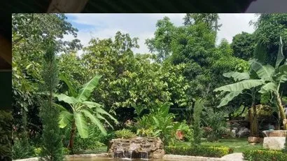 Verde Menta