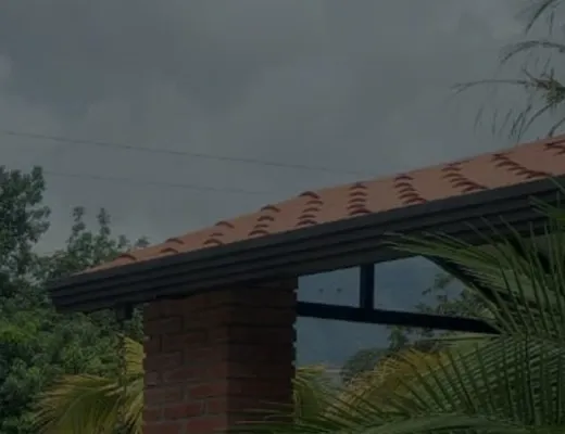 Verde Menta