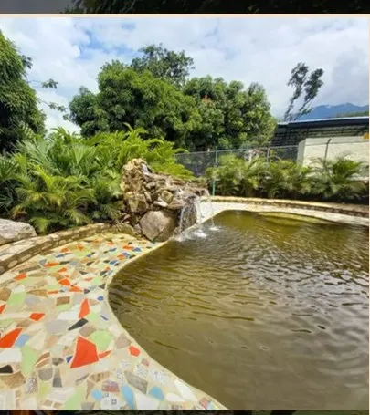 Piscina de agua natural con cascada en Verde Menta